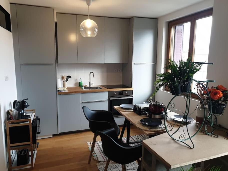 The Duplex Annecy Tgv; Vielle Ville Exterior foto